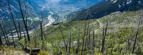 Naturpark Pfyn-Finges