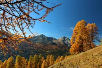 Herbstlandschaft