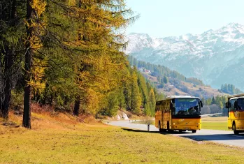 Bus fährt durch herbstliche Landschaft