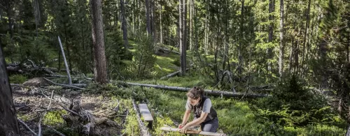 Schweizerischer Nationalpark